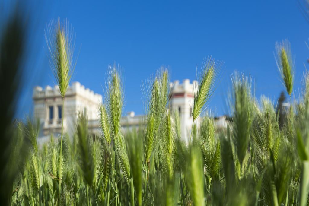 Villa Raffaella Santa Cesarea Terme Exteriör bild